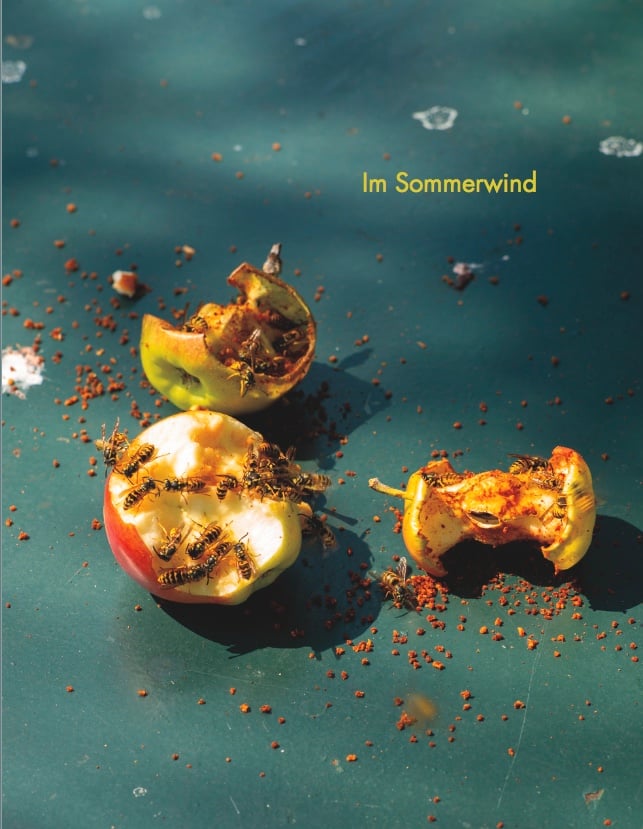 Im Sommerwind