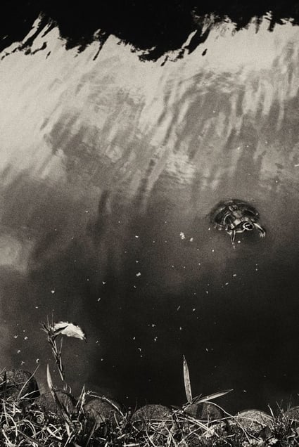 © Albarrán Cabrera