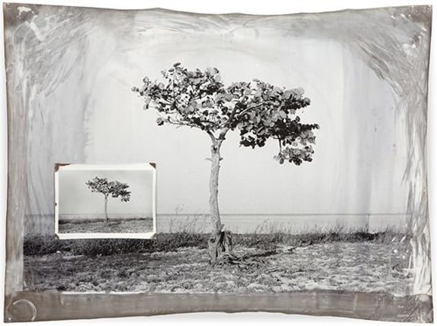 Cuba 4, 94 x 127 cm, Silver Print, 2005 © Jeff Cowen
