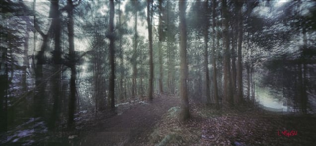 Fukushima, invisible pain