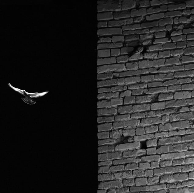 edge of the fear