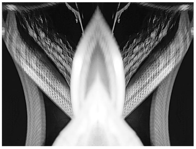 Reptilian Diptych