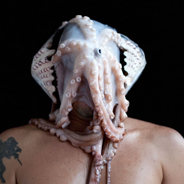 Sensorial self-portrait