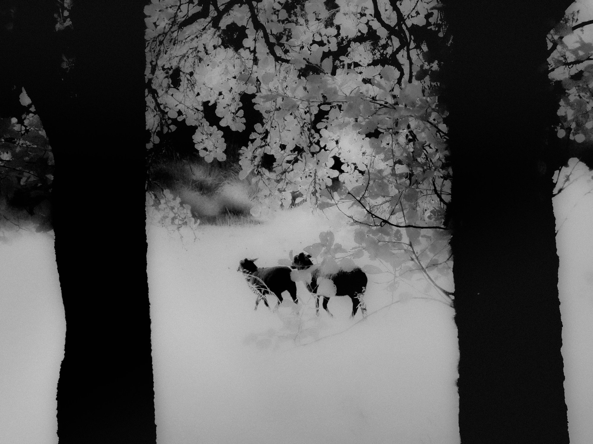 Eckerö © Francisco Gonzalez Camacho
