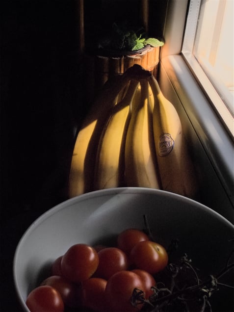 A residential interior. During the summer heat, roller shutters remain lowered through the day, leaving fruit, plants, and household objects defined by limited natural light.