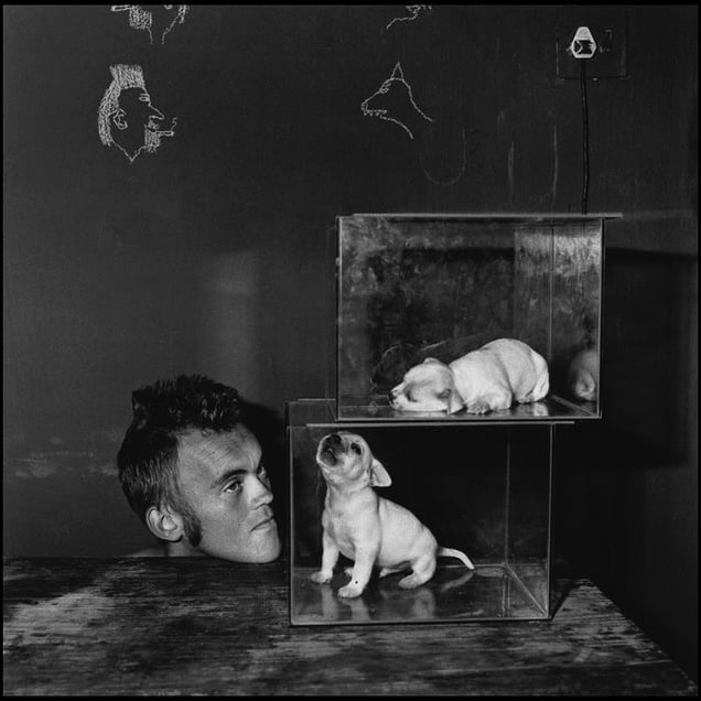 Puppies in fishtanks, 2000 © Roger Ballen
