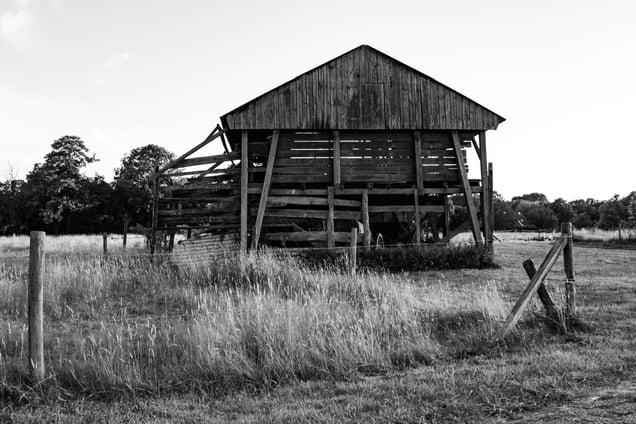 Countryside landscapes