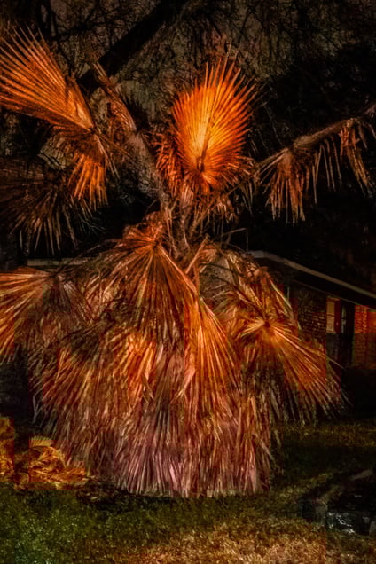 Native Demon Dancer at Your Door