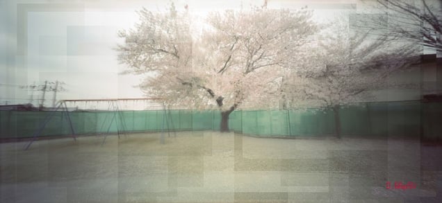 Fukushima, invisible pain