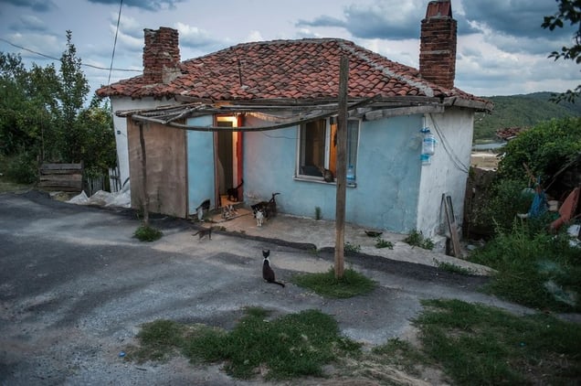 Turkey, Kiyikoy EczanesiA clowder of cats waits for scraps outside a fisherman's cottage.© Petrut Calinescu