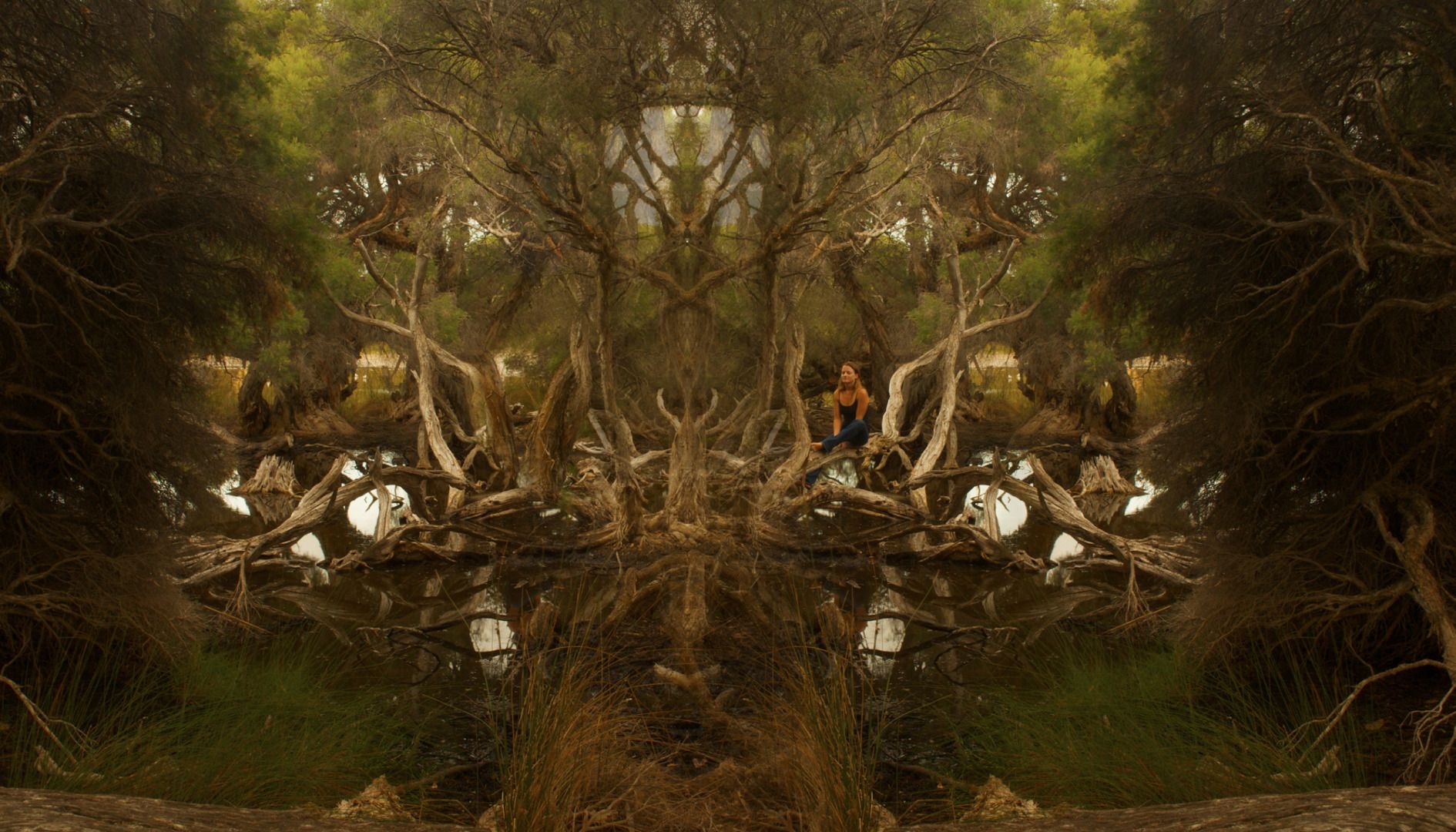 Paradise in Suburbia