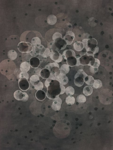 LPV #2  36x46"  Edition of 5           ©Thomas Brummett