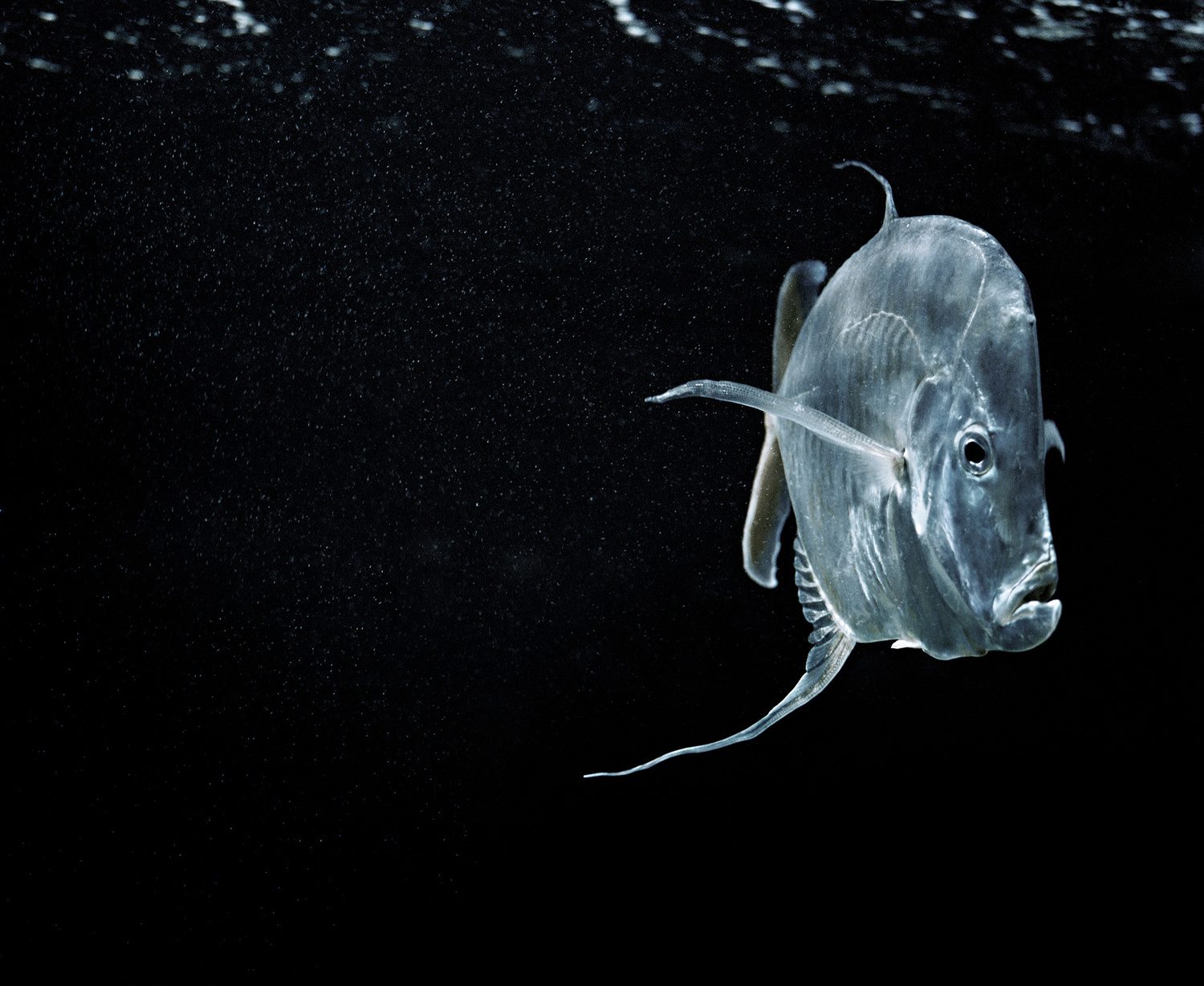 Thru Sandhya // Original Rituals