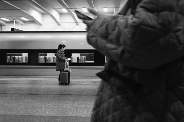 Platform Feed