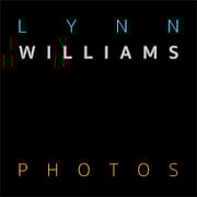 Lynn Williams