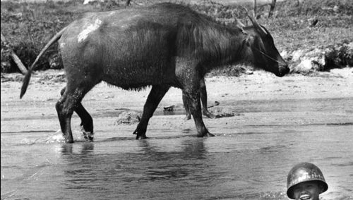 Vietnam. Saigon. The Year of the Buffalo. 1973. From the book "War Photographer: Between Shadow and Light" © Christine Spengler