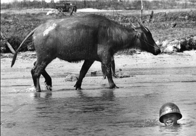 Vietnam. Saigon. The Year of the Buffalo. 1973. From the book "War Photographer: Between Shadow and Light" © Christine Spengler