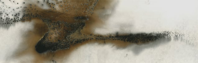 Untitled Work of Fire .02-09-14 2013 10x32 Unique gunpowder generated gelatin silver print.