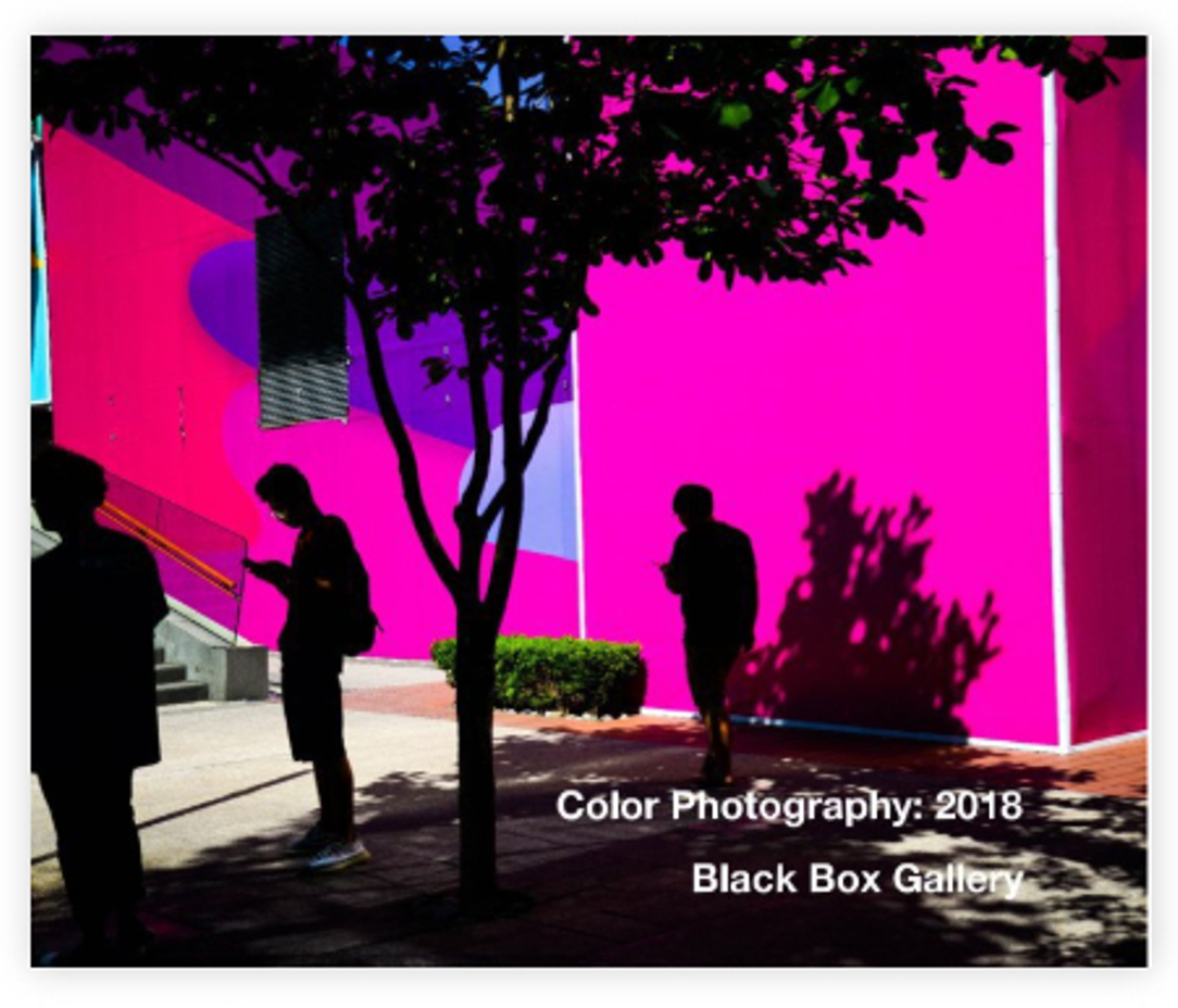 Black Box Gallery: Color Photography 2018