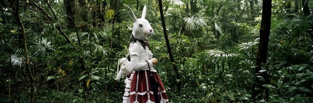 From the series Okurimono © Christian Houge