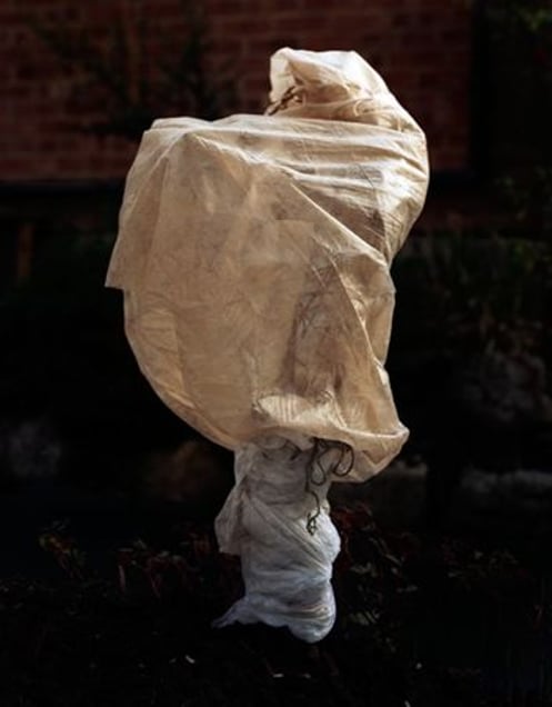 From the series Covered, 2009 © Peter Ainsworth