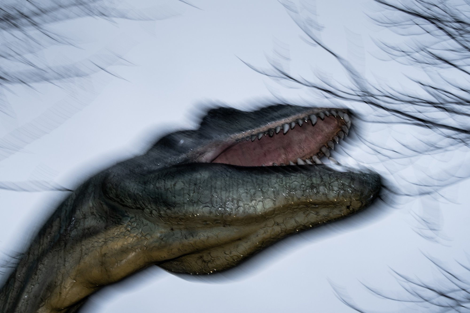 "All the Things that Could Happen Next".