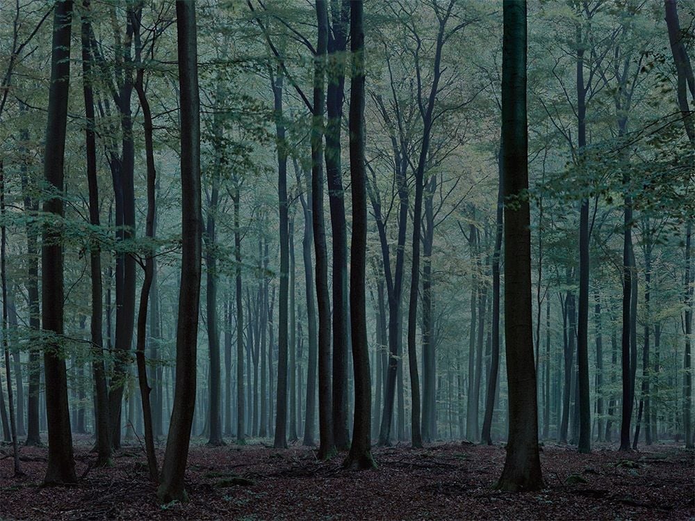 WALD | Landscapes of Memory