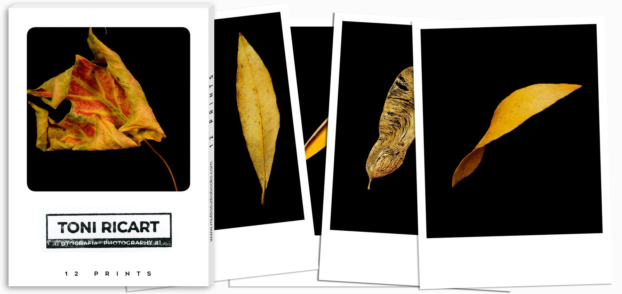12 PRINTS - FRAGILE