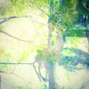 Mana Hemami