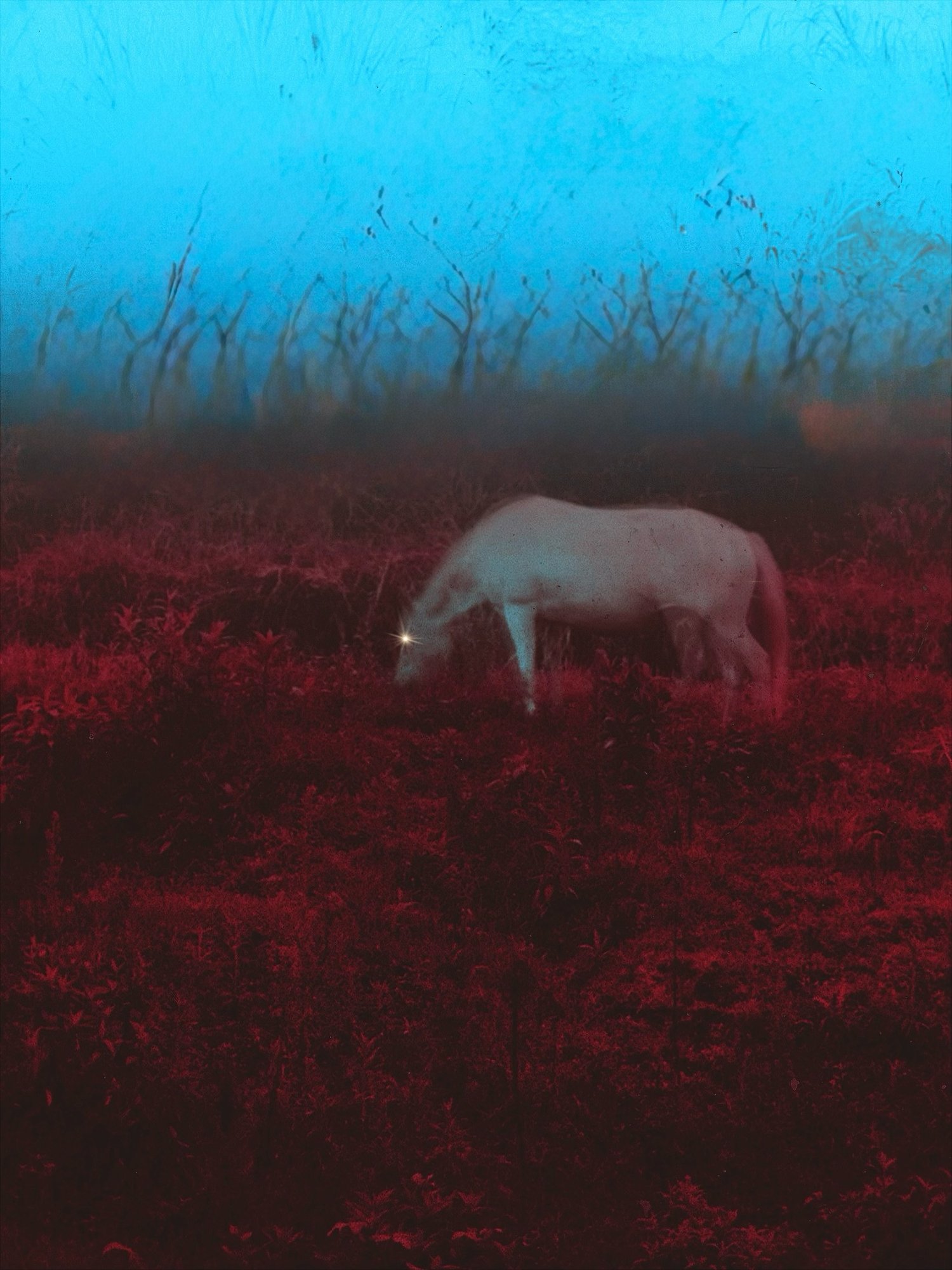 LensCulture Critics’ Choice Award Winners for 2025 – Photo Competitions