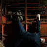 Joanne Coates
