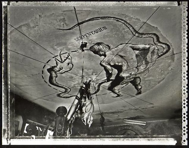 Serpentaius, el Cobre, 2002. © Elaine Ling