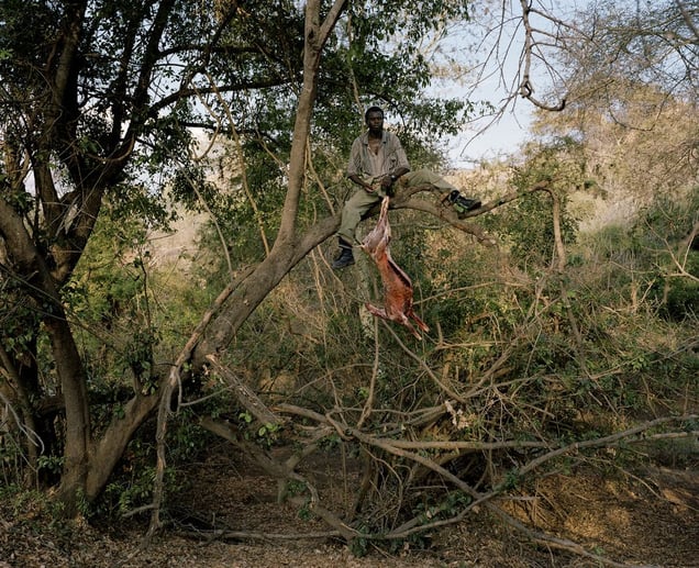 untitled, leopard hunter, zimbabwe-from the series 'hunters'-David Chancellor