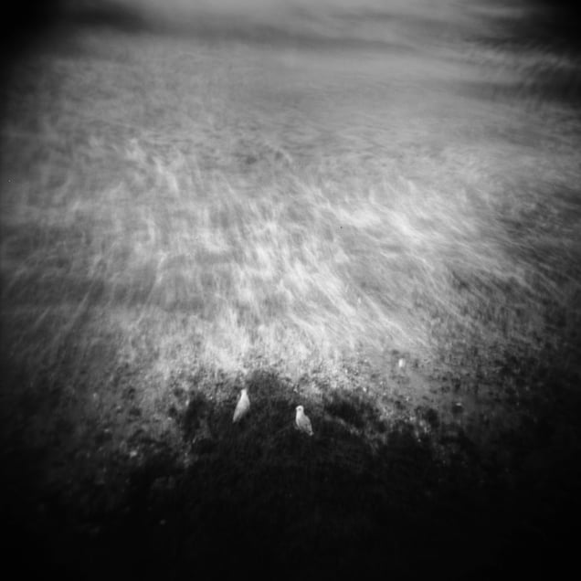Holga #11