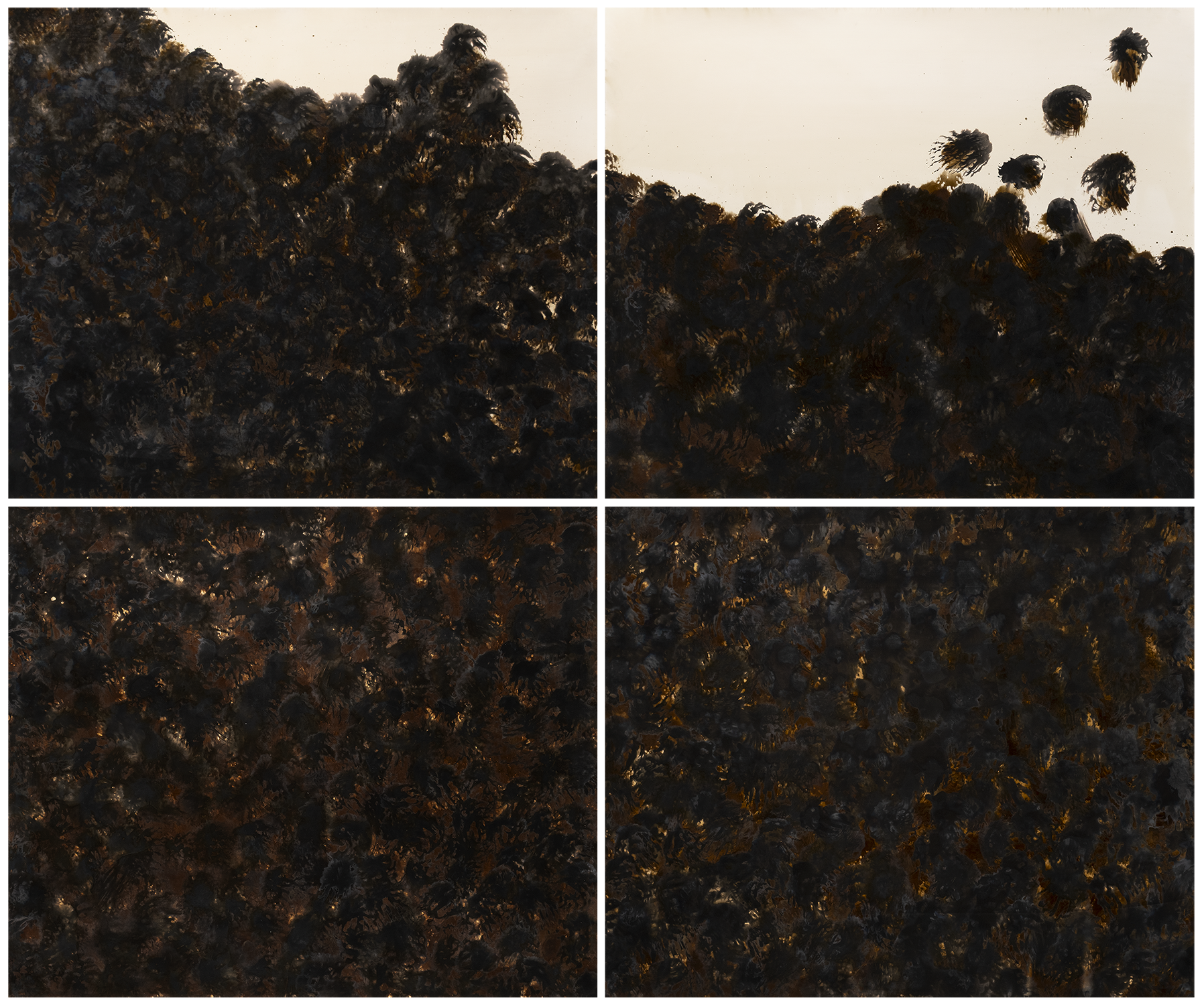 Moment of Hope, 2025, Chromo Gelatin Silver Print, 1/1 Unique Hand-manipulated Prints, from the series "They Tried To Bury Us But They Forgot We Are Seeds" © Frank Lopez