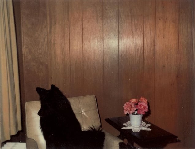 © KesselsKramer Publishing, from In Almost Every Picture #9