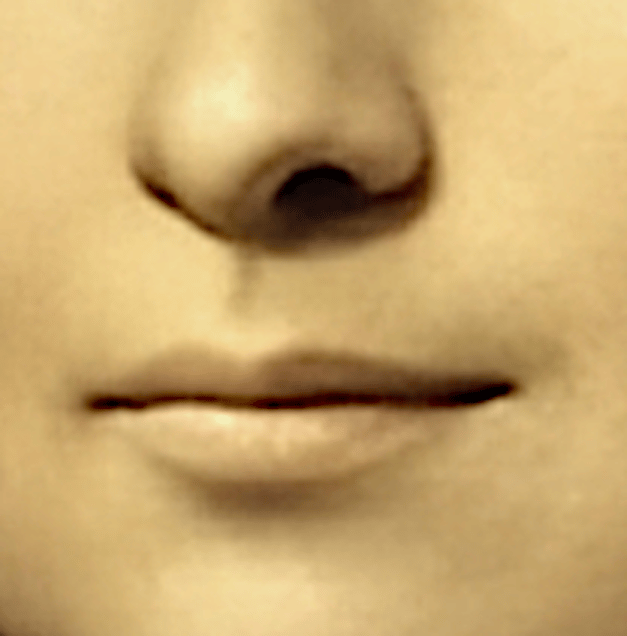 Mona Lisa Smile- Can you tell?