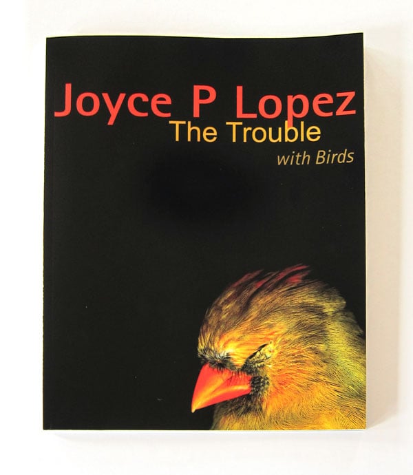 The Trouble with Birds