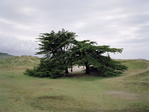 "The Atlantic Wall project sweeps the Breton territory, and offers a visual dialogue between two phenomena: the heavy and permanent remains of the Atlantic Wall (blockhouse bunkers) occupying the coastline, and the 'free parties' (clandestinely organized by techno music fans) that spontaneously appear around the countryside and on the coast—and that disappear just as quickly."