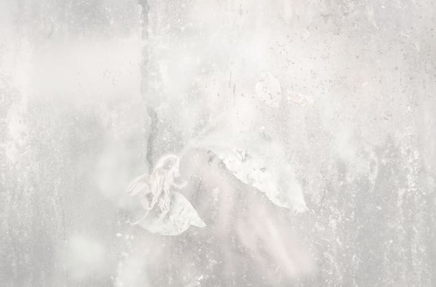 Untitled from "White is not a Colour"