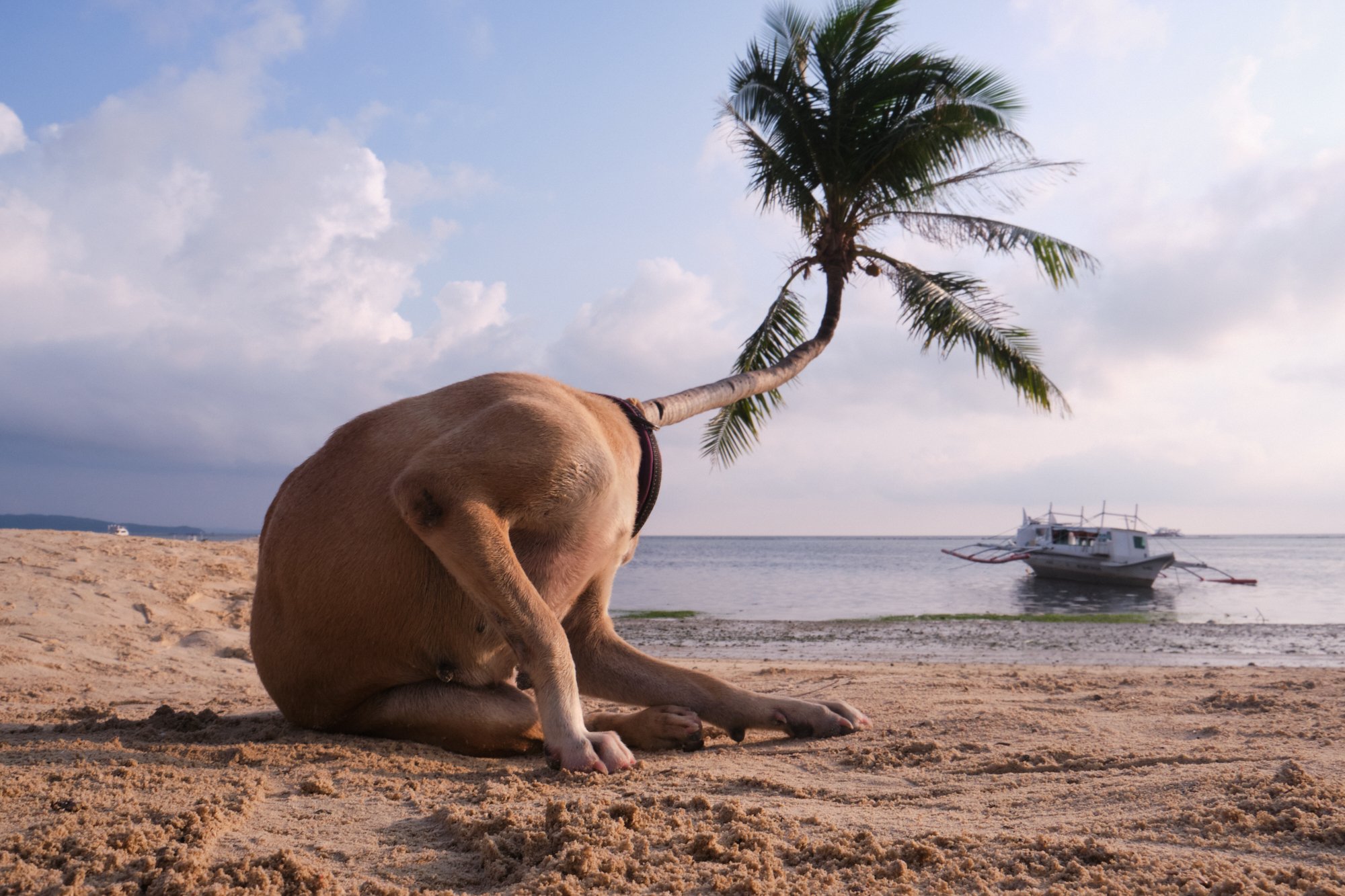 winner of photography awards