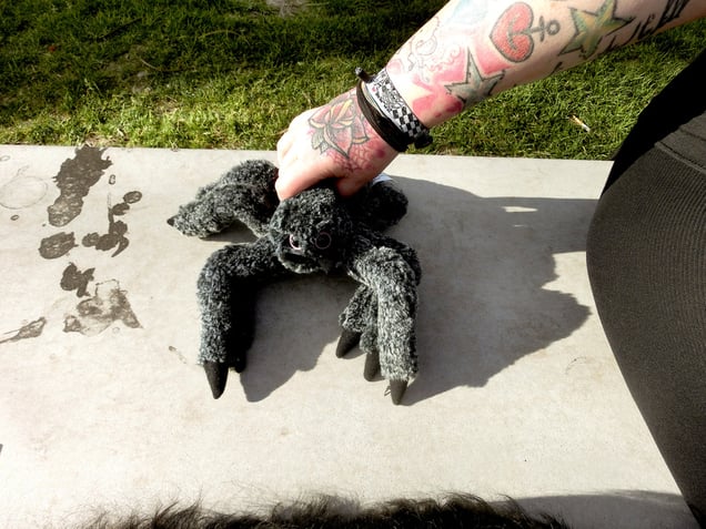 "SPIRITUAL STUFFED ANIMAL SPIDER PHOTOGRAPHY" "SPIRITUELLE SPINNEN STOFFTIER FOTOGRAFIE"