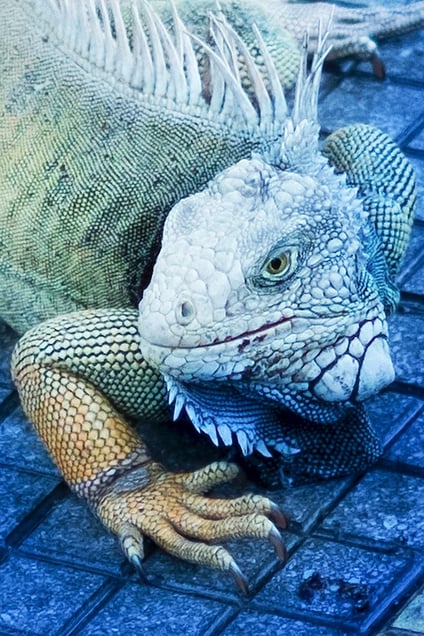 From the group exhibition "ENSP/Territoire(s)"