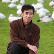 Shixu gu