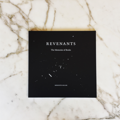 Revenants: The Memories of Books