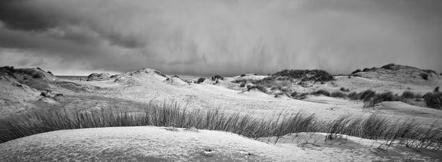 Winterstorm