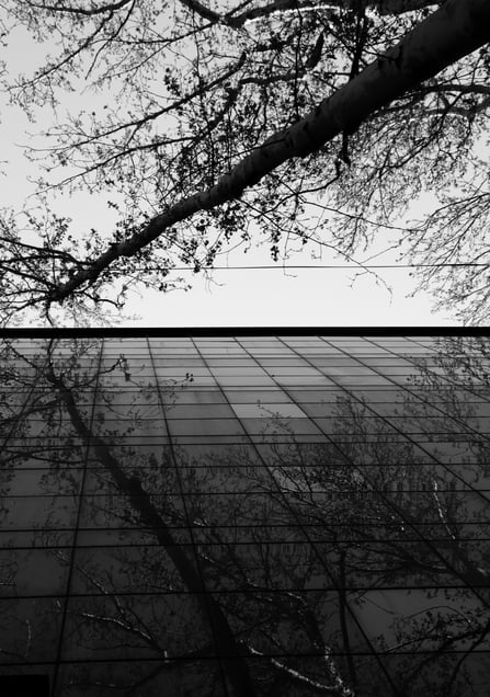 Nature & Architecture