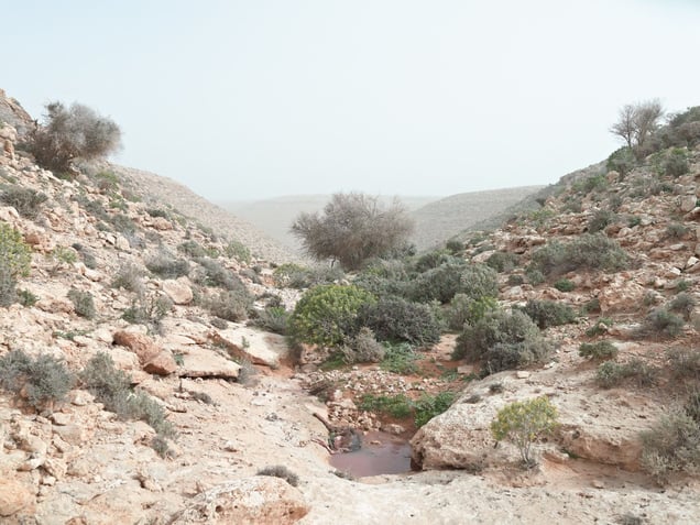 Watering hole, Wadi Zitoune Battlefield, Libya | From the book "Topography is Fate: North African Battlefields of World War II" | © Matthew Arnold Photography