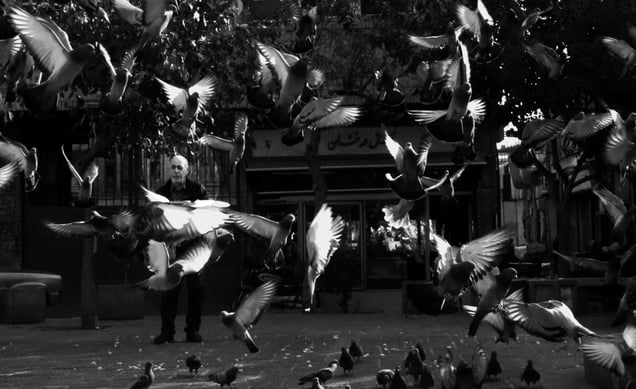 Freedom