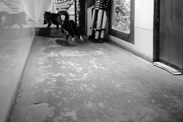 Airborne for a Moment
